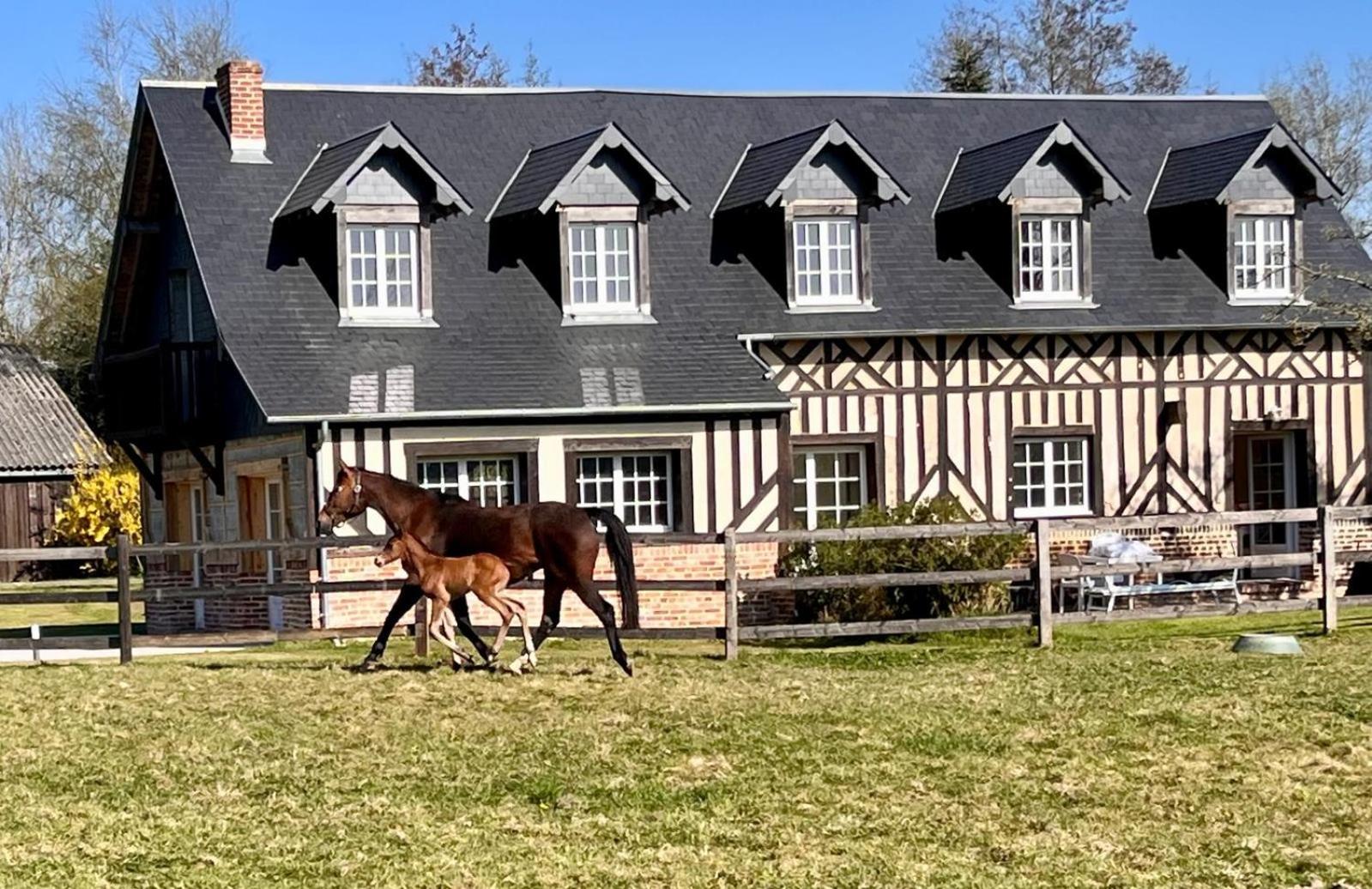 Apartamento La Longere Du Haras Manerbe Exterior foto